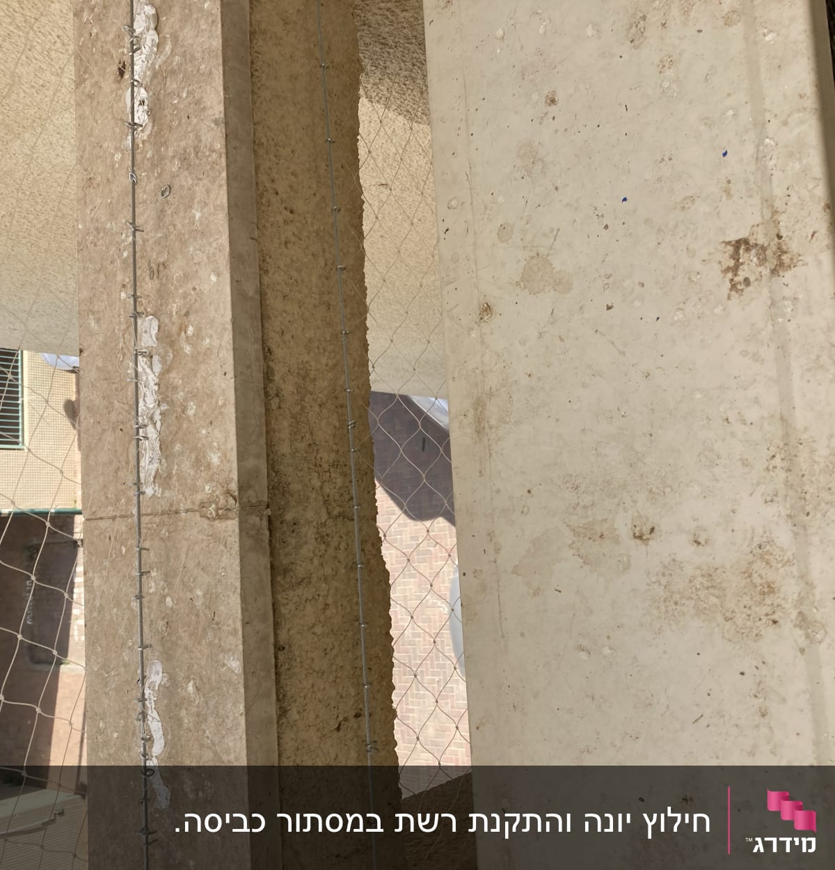 רשת מתוחה בין עמודים למניעת כניסת יונים